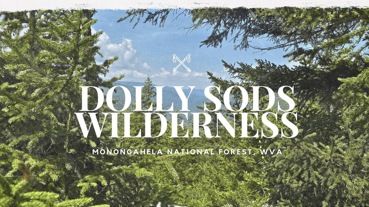 Hiking Dolly Sods | West Virginia&rsquo;s Wildest Wilderness