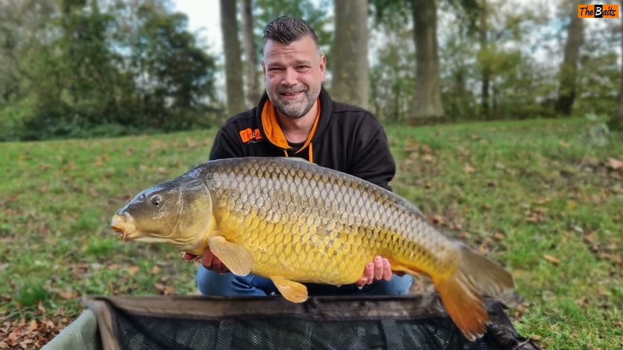 Karpervissen op een recreatieplas - Ze zijn los!