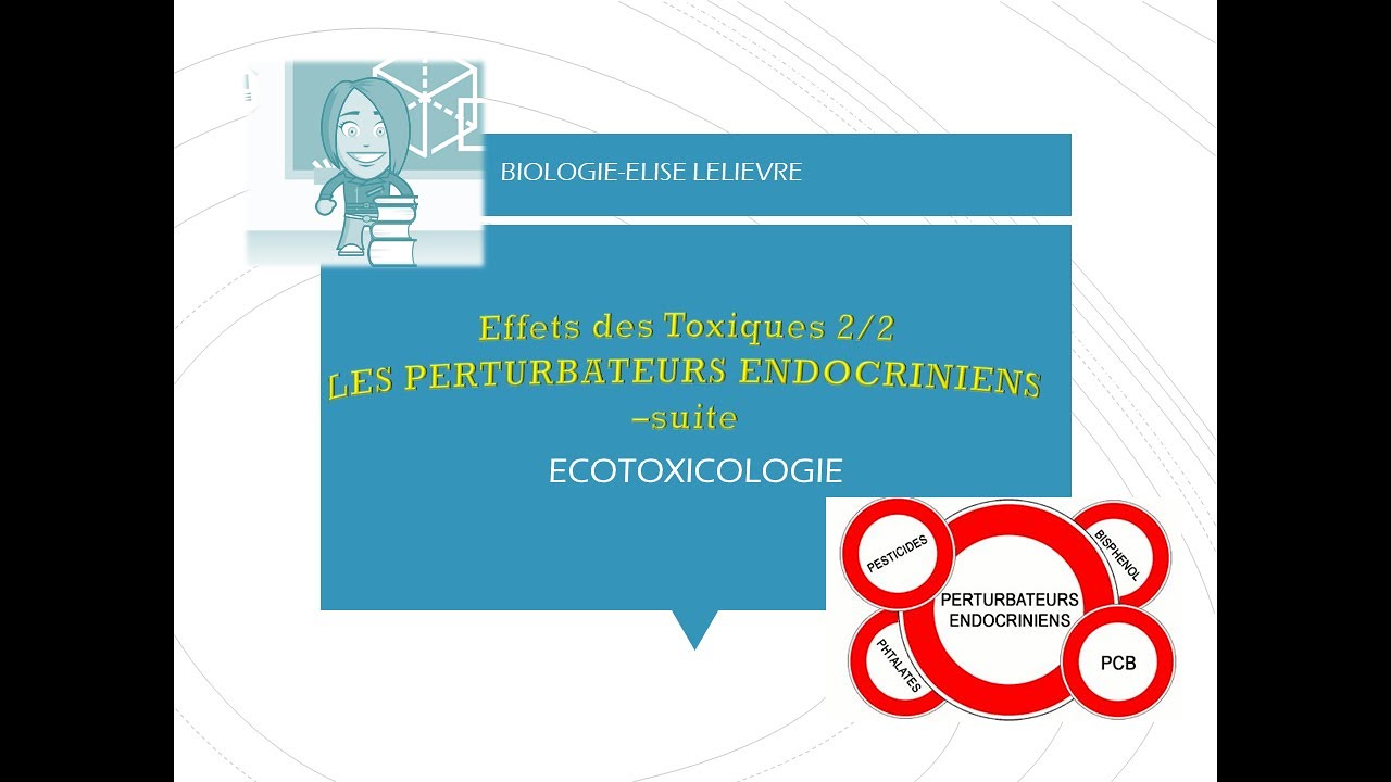 Les Perturbateurs endocriniens 2/2