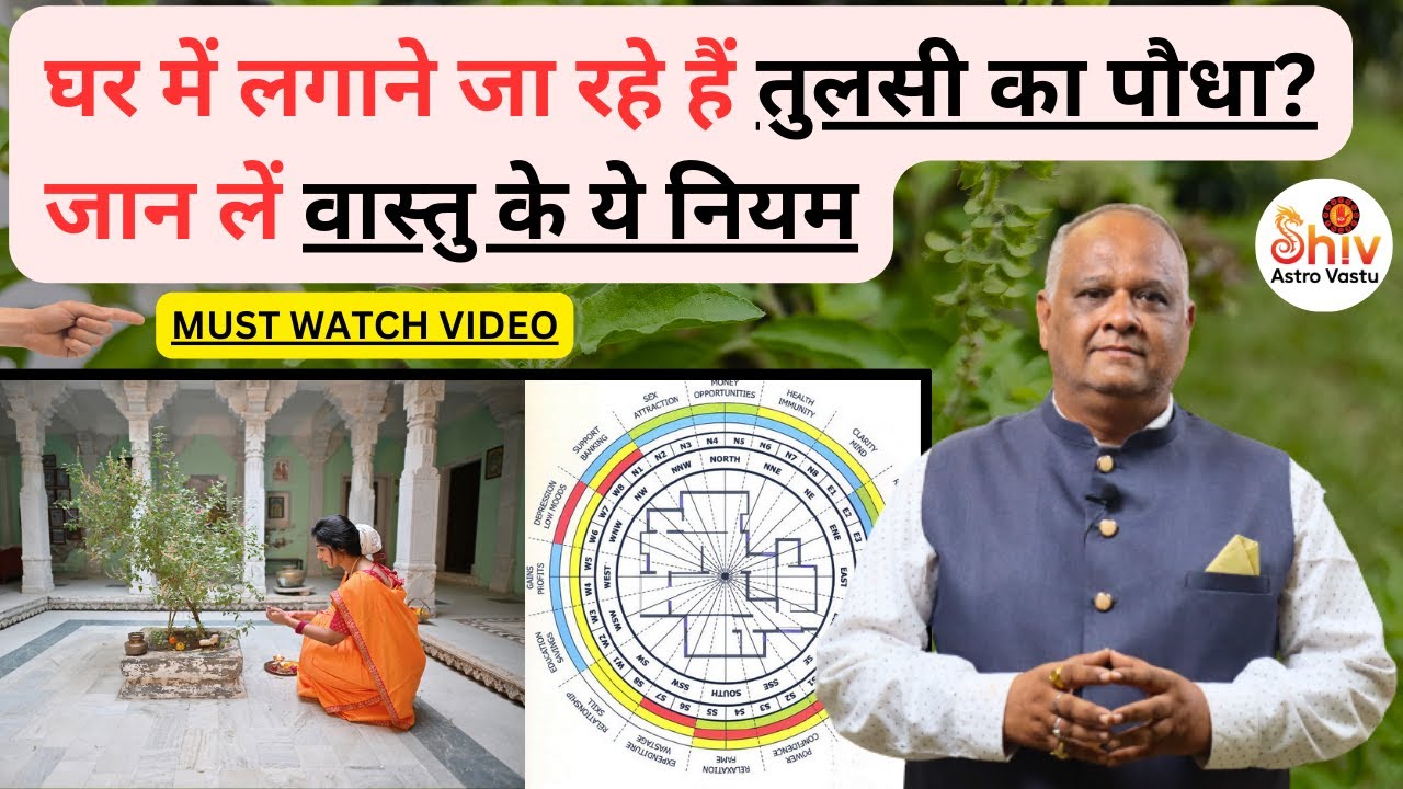 vastu tips for tulsi plant | Lucky Plants for Home Vastu | Best Vaastu Plants for Home