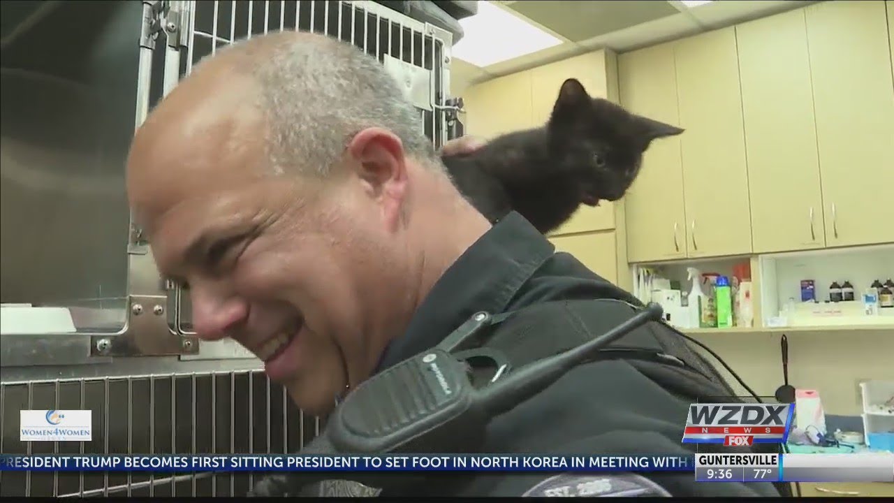 Police officer saves kitten on GA highway
