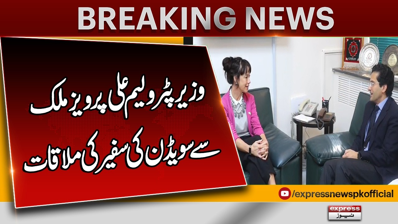 Petroleum Minister Ali Pervaiz Malik Meets Swedish Ambassador  | Pakistan Energy Update