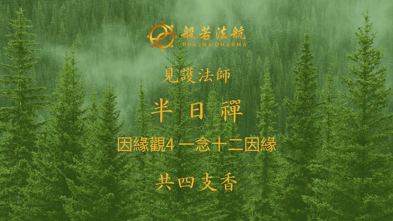 半日禪05 因緣觀4 一念十二因緣回向 見護法師