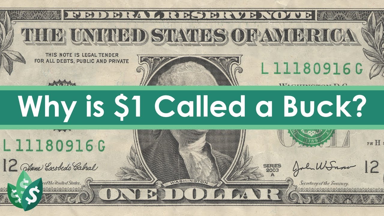Why is a Dollar Called a BUCK? | Kyle Talks Money