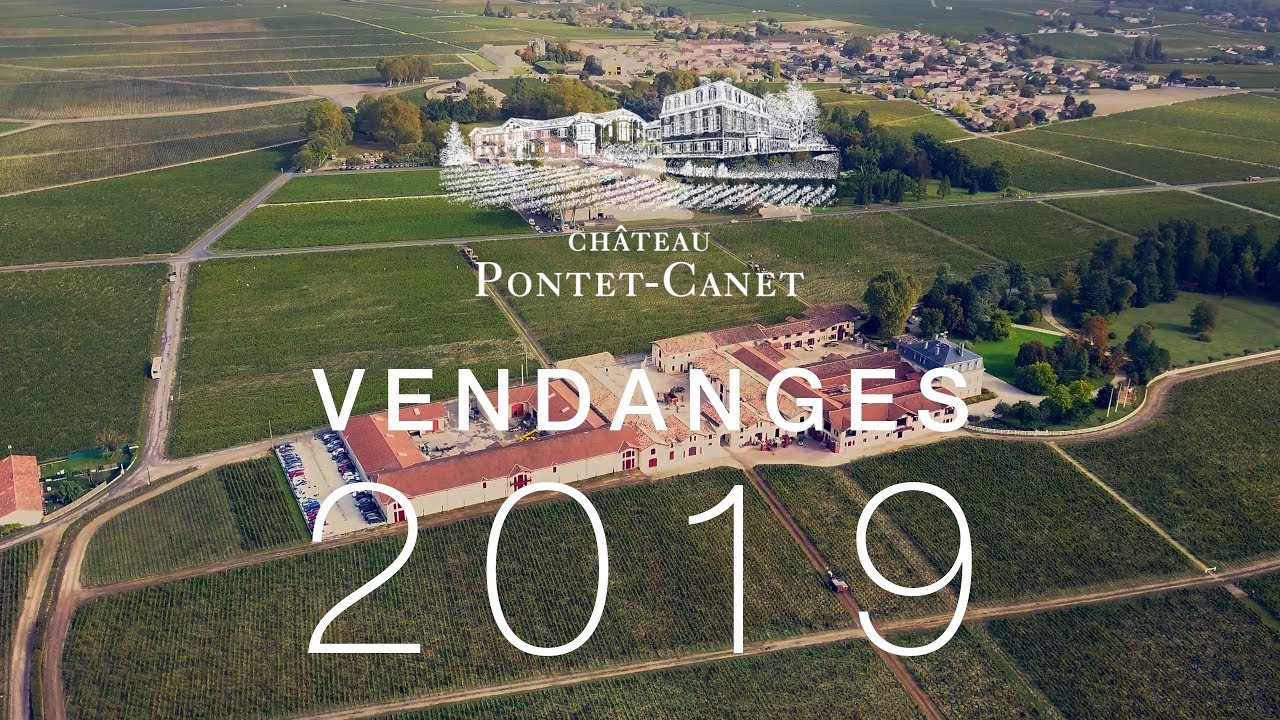 Vendanges 2019 au ch&acirc;teau Pontet-Canet - Reportage