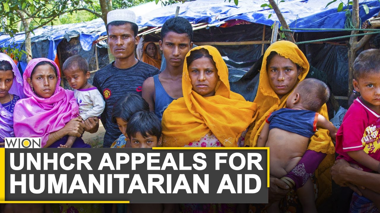 UNHCR appeals for humanitarian aid for Rohingyas currently seeking refuge in Bangladesh