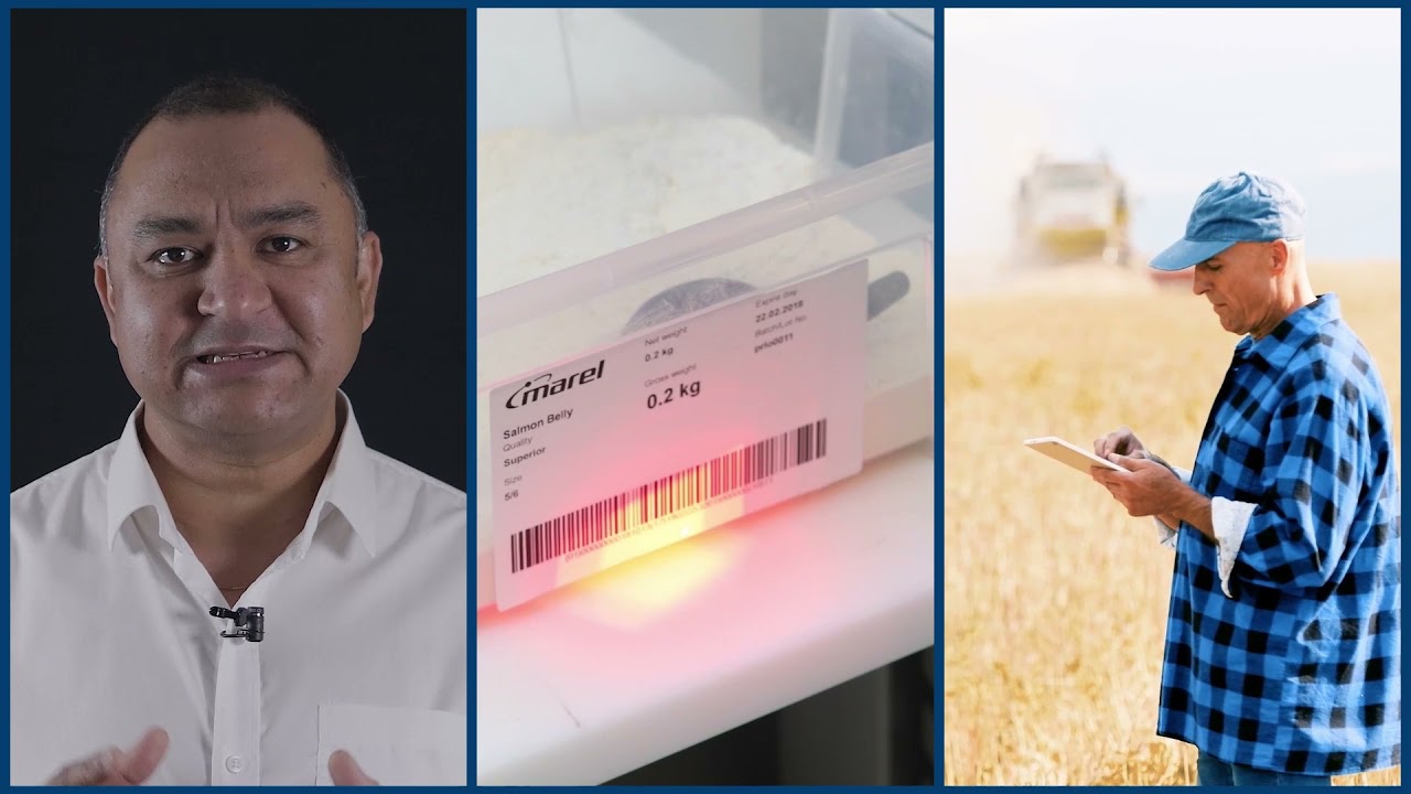 Digital Transformation in food processing