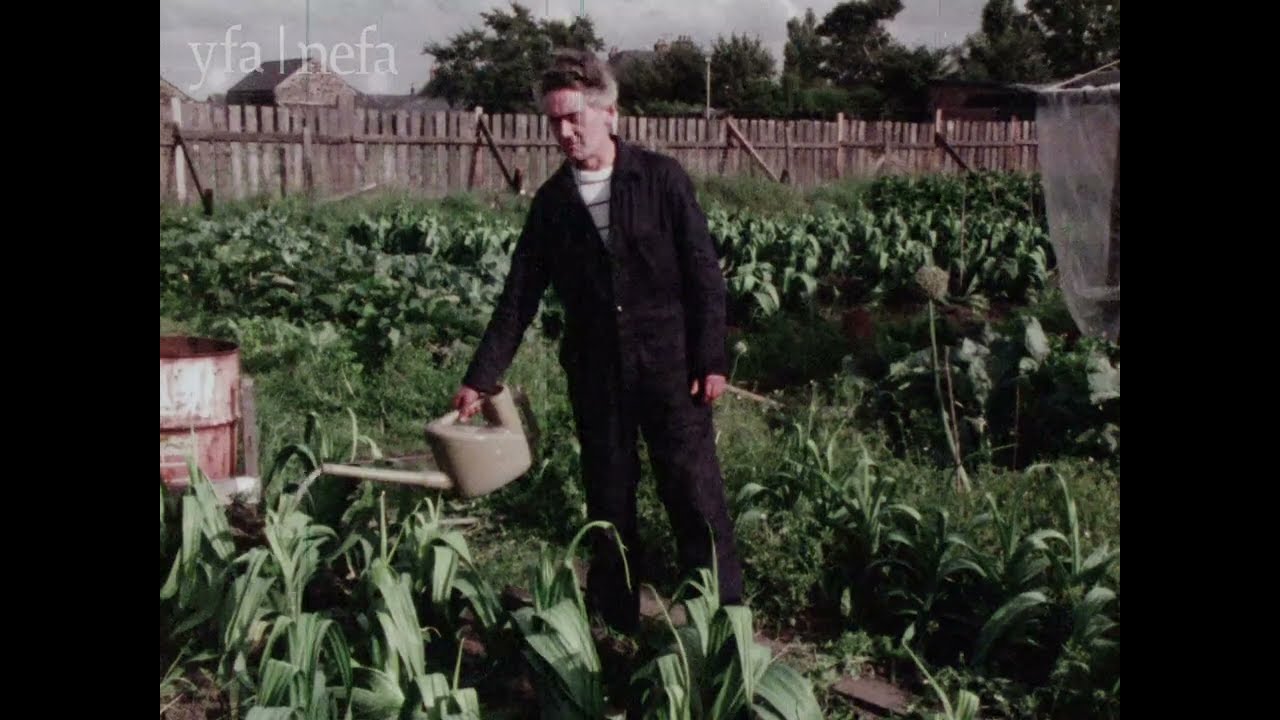 Land of the Giant Leeks