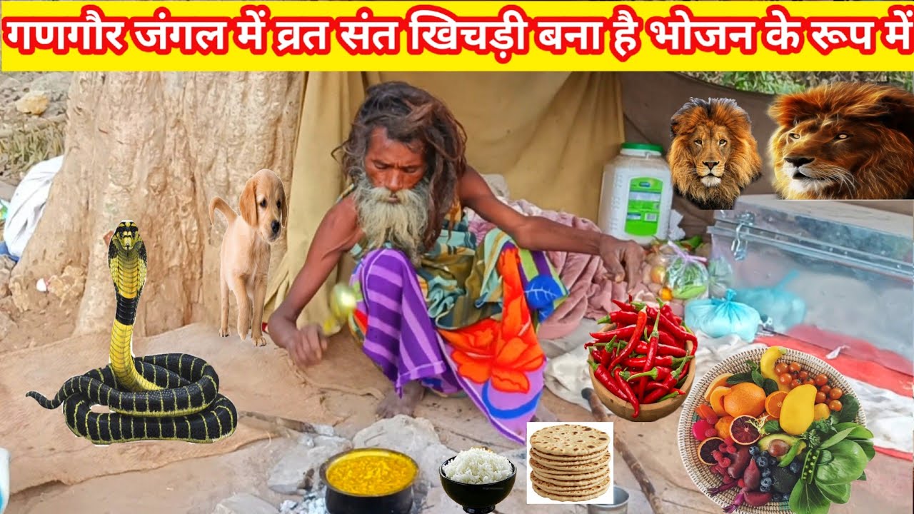 चित्रकूट के जंगलों में वृद्धि संत की कुटिया बनी हुई है खिचड़ी बनाई हुए हैं घास फूस की कुटिया में है 