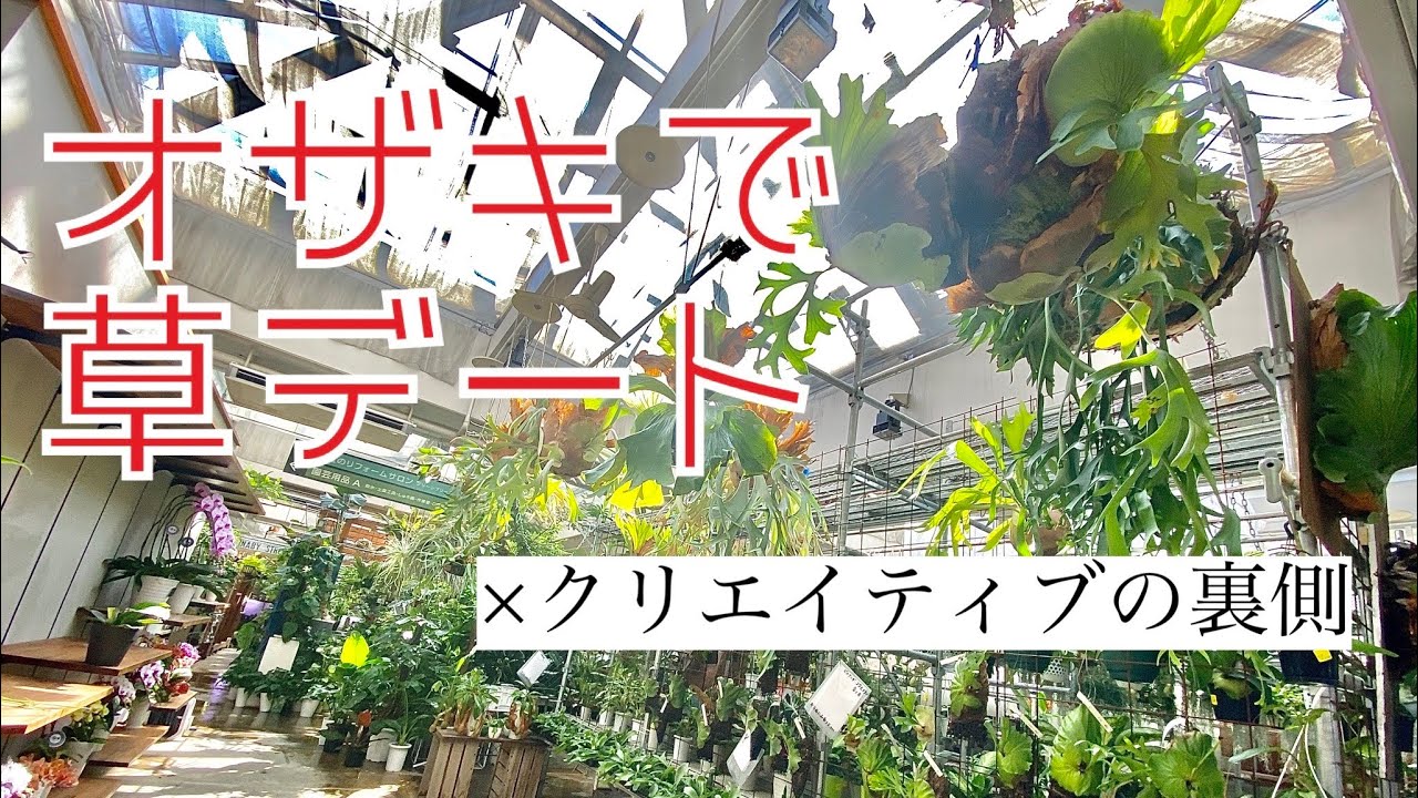 オザキフラワーパークでクリエイティブな草デート！【オザキ草編】