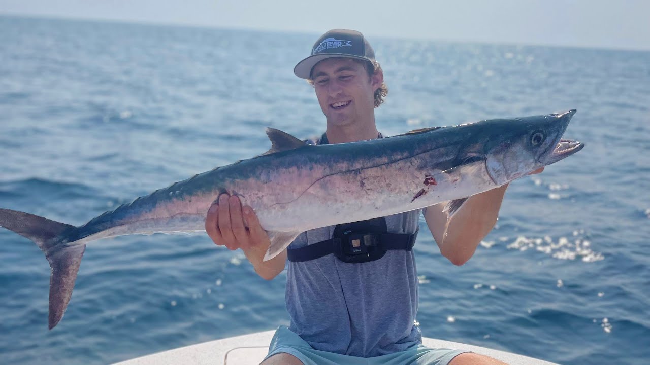 King Mackerel, Mahi Mahi, and Sharks at the Jungle | NC Offshore Fishing