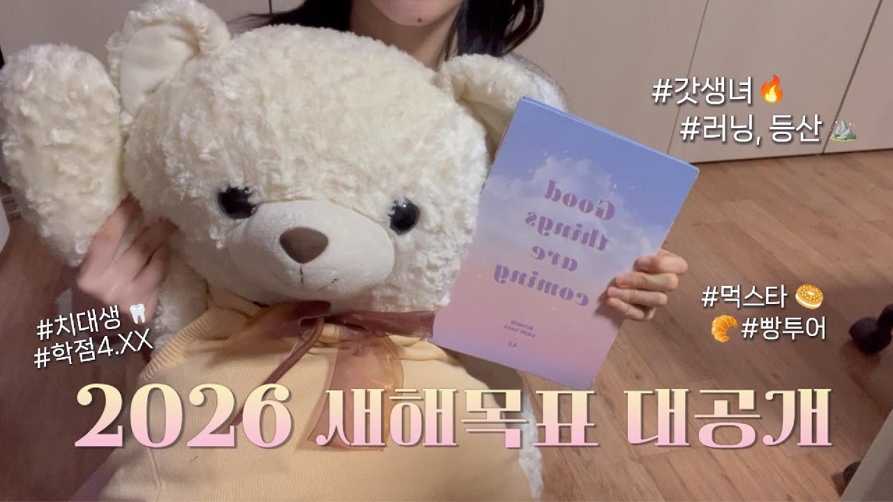 2026 새해목표 대.공.개📝(ft. 필기구 소개, 과대, 치대생, 먹스타)