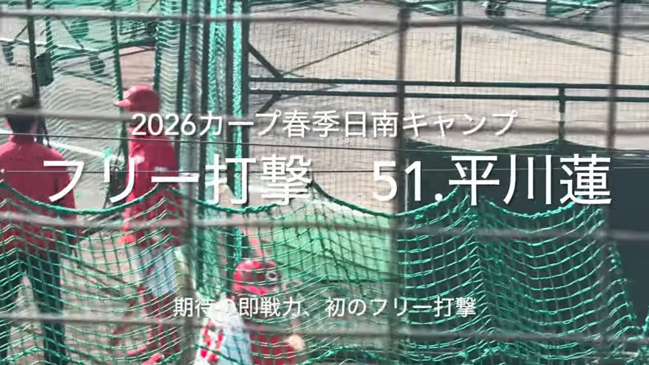 8割フルです！期待のドラフト1位平川蓮両打初フリー打撃、柵越えも1発記録！【2026.2.1春季日南キャンプ第1クール1日目】#広島カープ#天福球場#2026春季日南キャンプ#フリー打撃#平川蓮