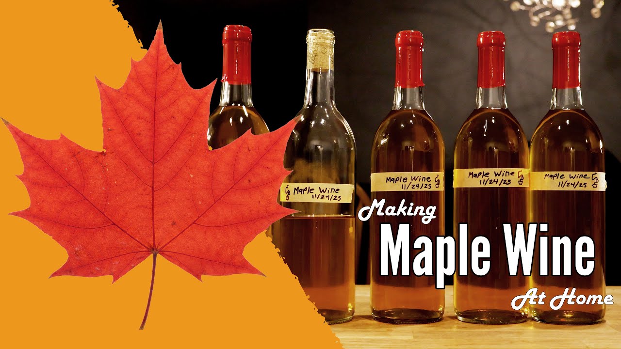 Make Your Own Maple Wine (It's Super Easy!)