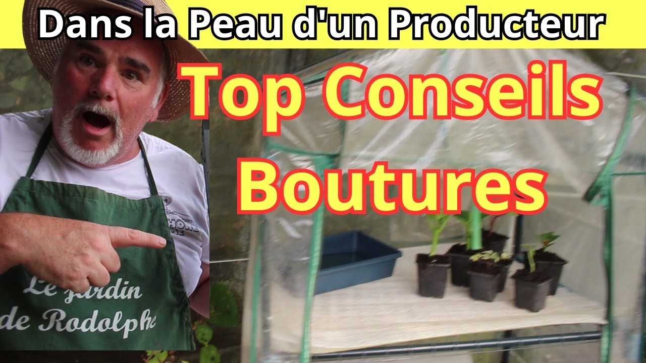 Le Meilleur Emplacement pour Réussir la Propagation de Vos Boutures