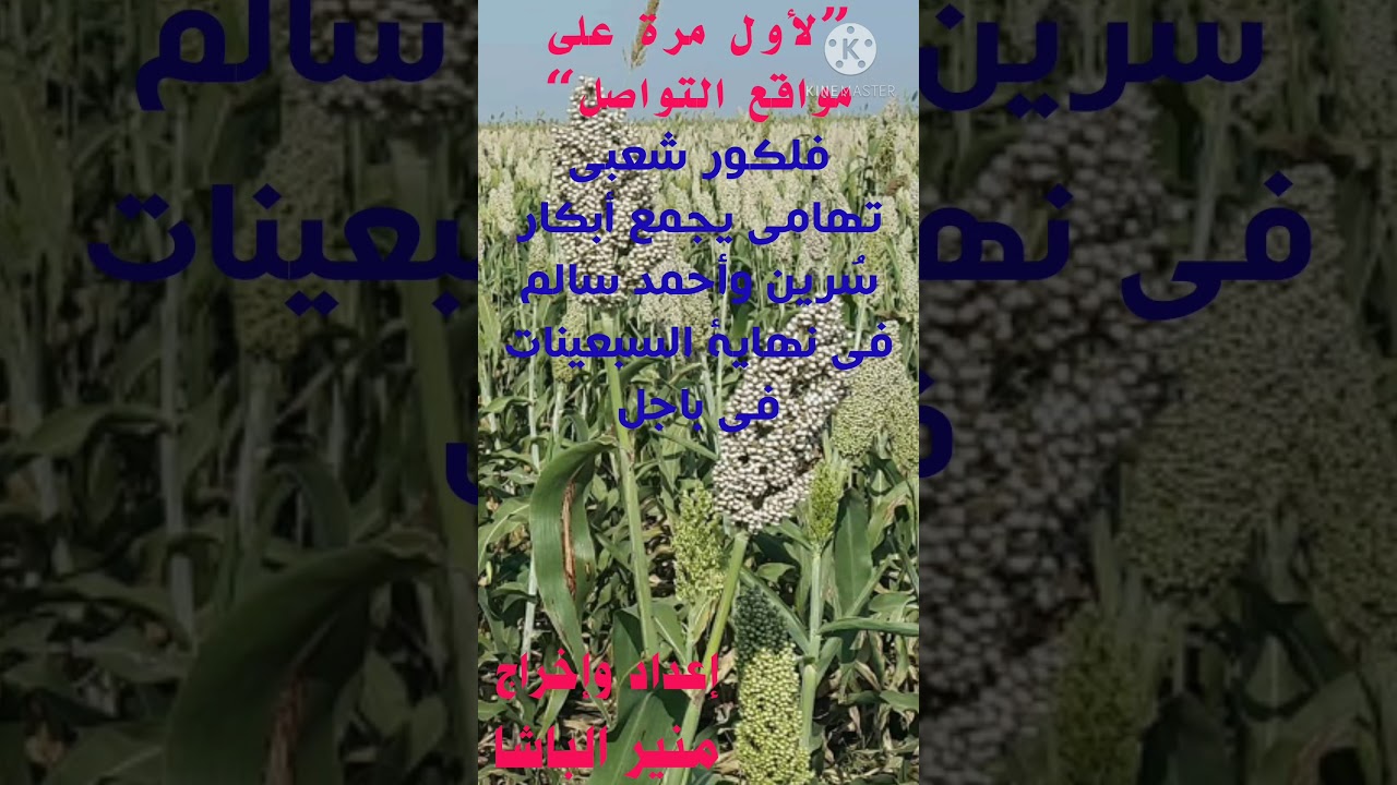 ابكر سرين في السبعينيات من باجل