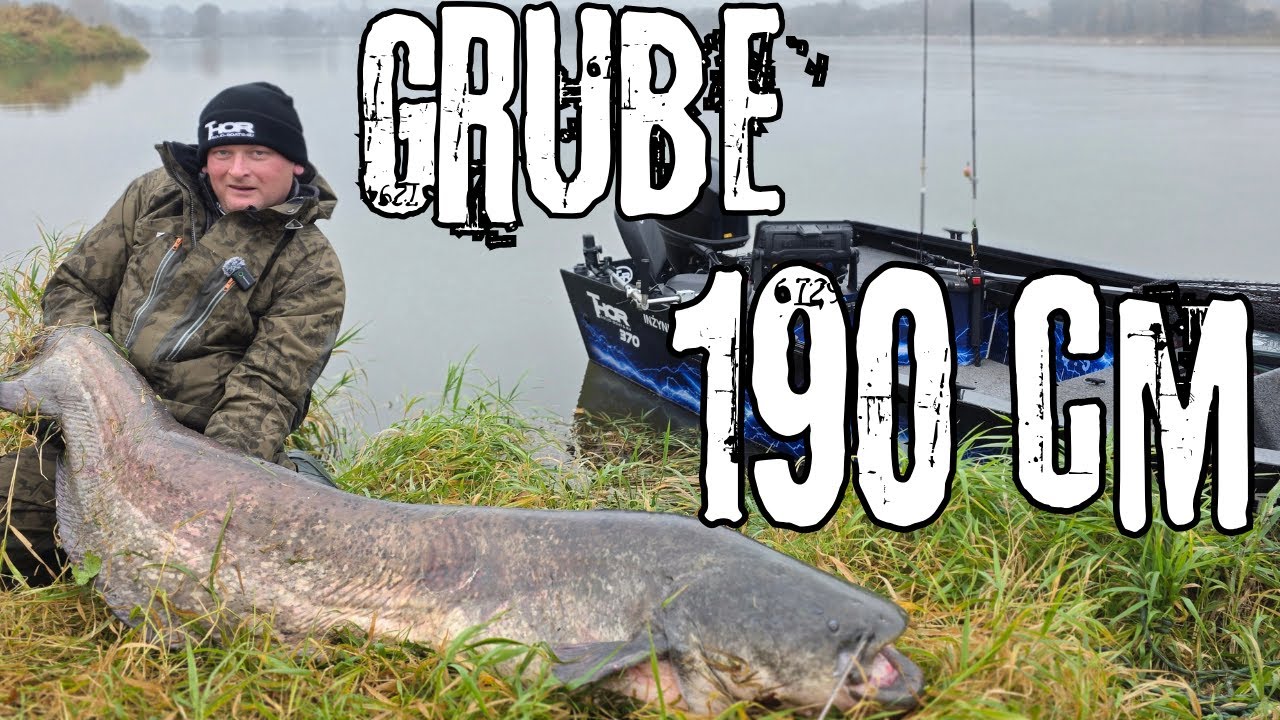 190cm Z ODRY! Chrzest nowej wędki na grubym sumie