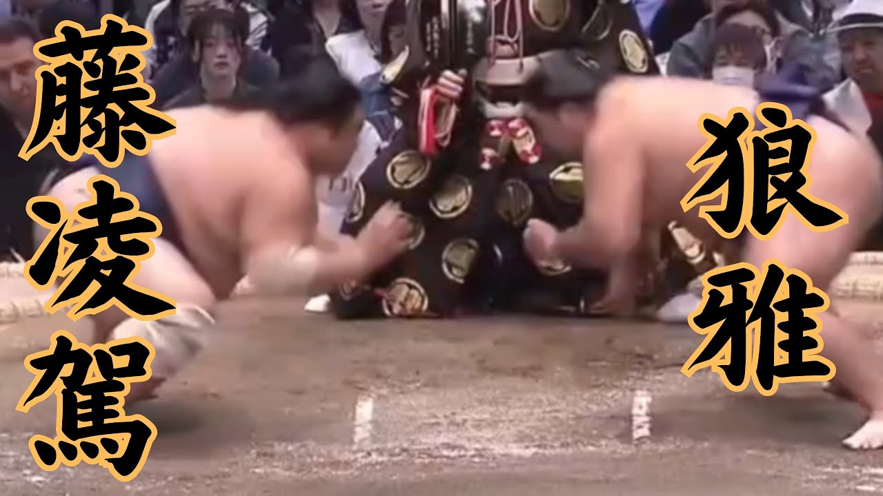 藤凌駕VS狼雅 令和8年3月場所14日目（大阪場所） #sumo #相撲 #二子山部屋
