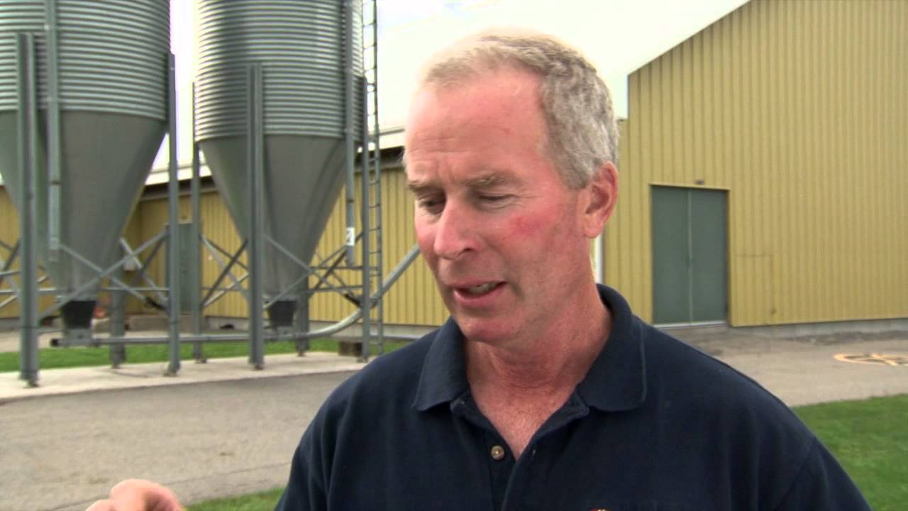 McGill Mac Farm serves up sustainable eggs