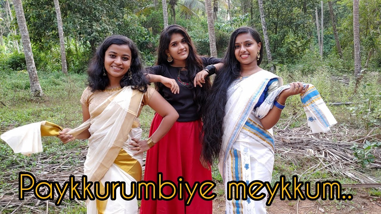 Paykkurumbiye meykkum / Vishu special dance cover / Lifestyle Passions