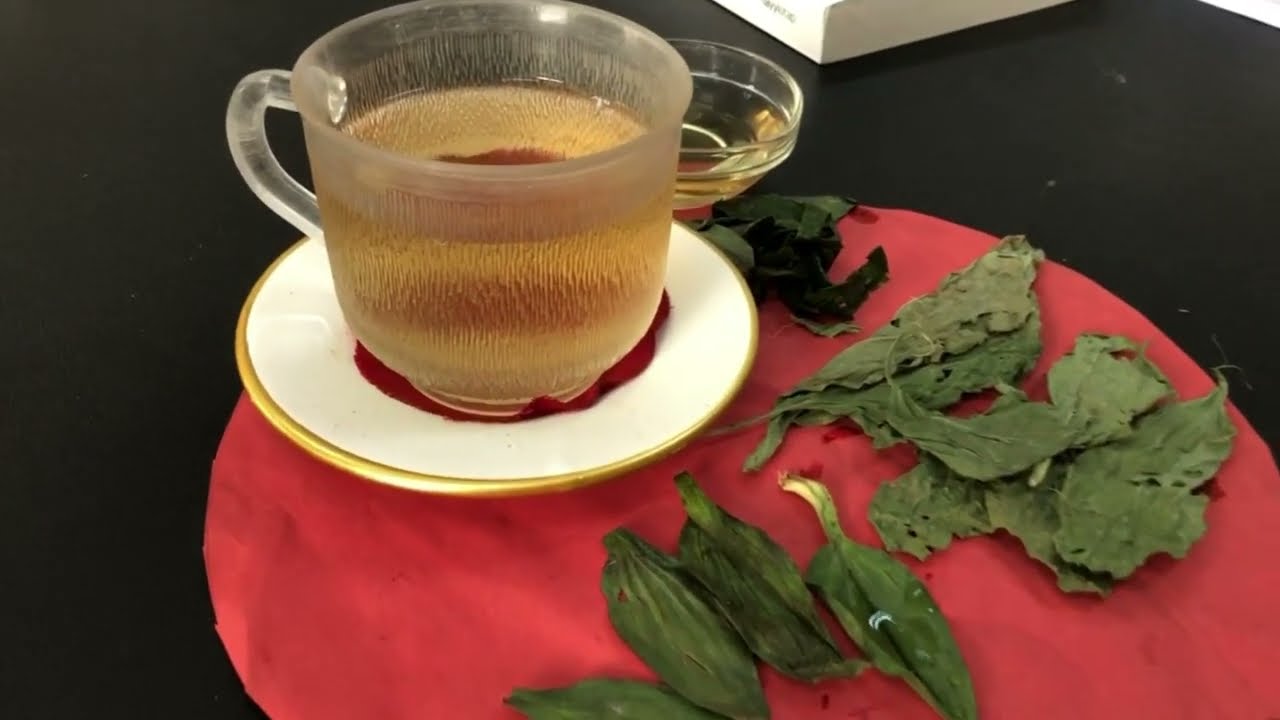 Damar Otu Nedir Ne İşe Yarar Plantago
