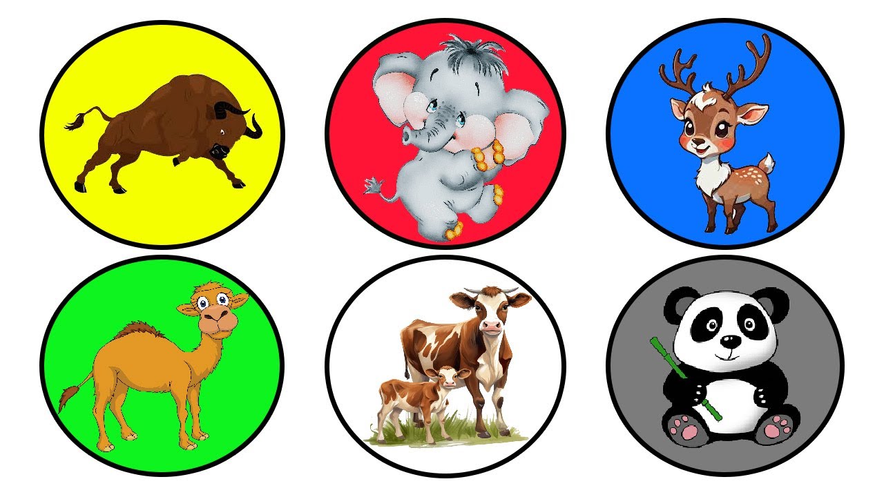 SUARA HEWAN SAPI, PANDA, GAJAH, ONTA, RUSA, KERBAU | SAPI PAWAI TAKBIRAN