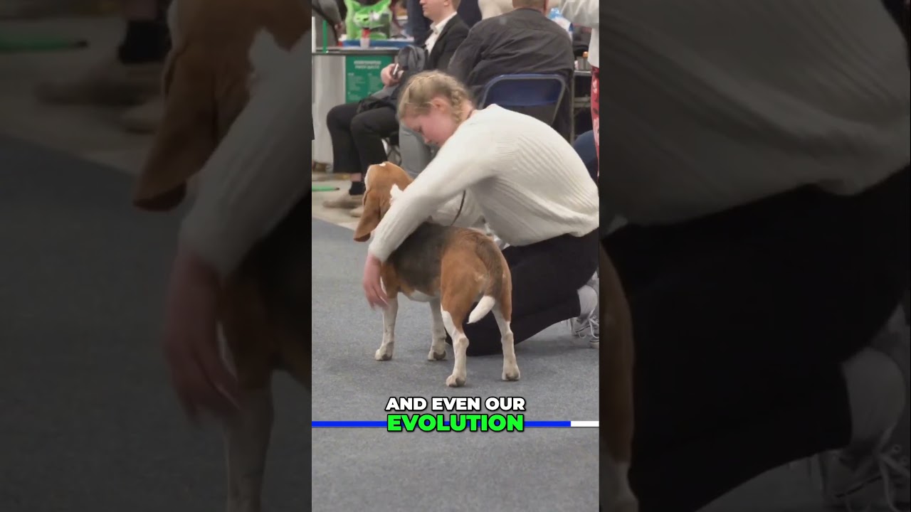 Incredible Bond 🐾  How Humans and Dogs Shape Each Other! ❤️