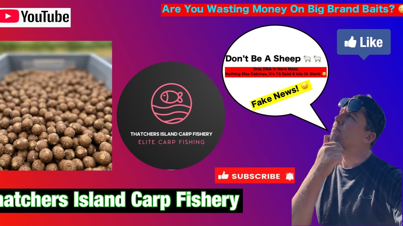 Will Boilies Catch Me More Carp?!