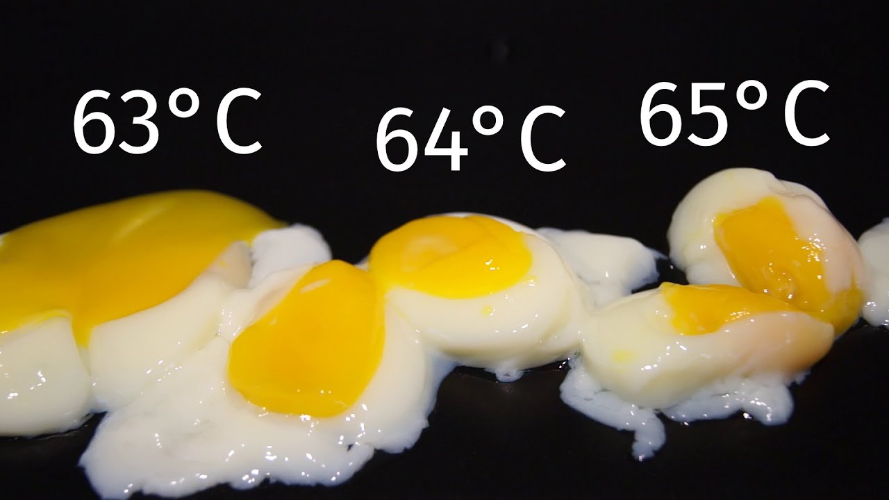 Le Jaune d'Oeuf Parfait - 12 températures différentes, Cuisson Sous Vide (2/3)