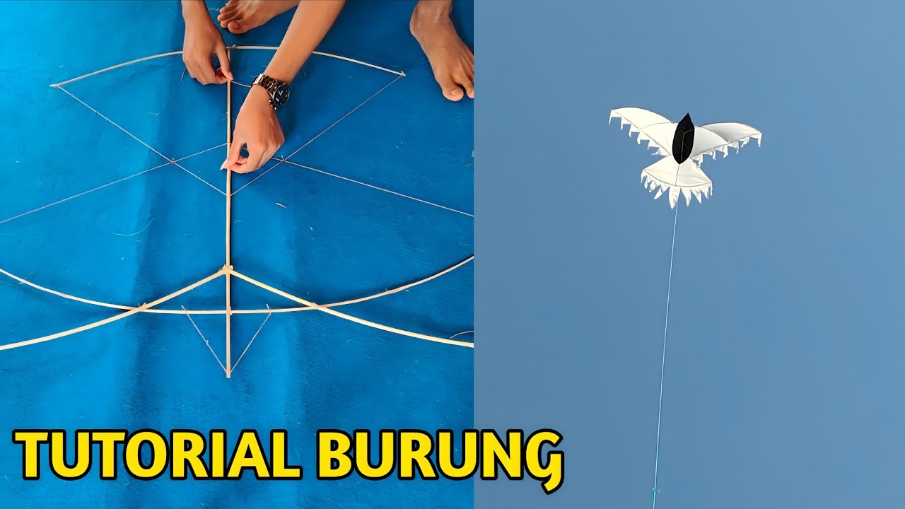 Cara Membuat Layangan Burung