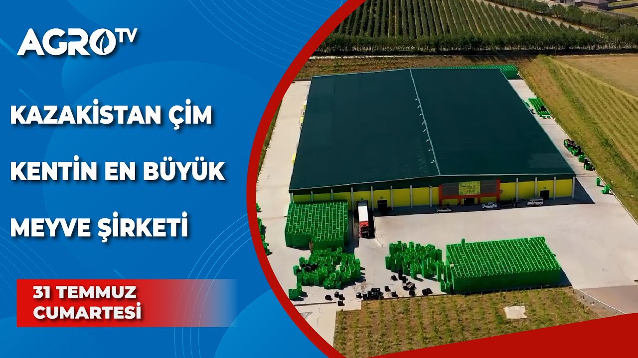 Kazakistan Çimkent'in En Büyük Meyve Şirketi | Tarım Elçisi