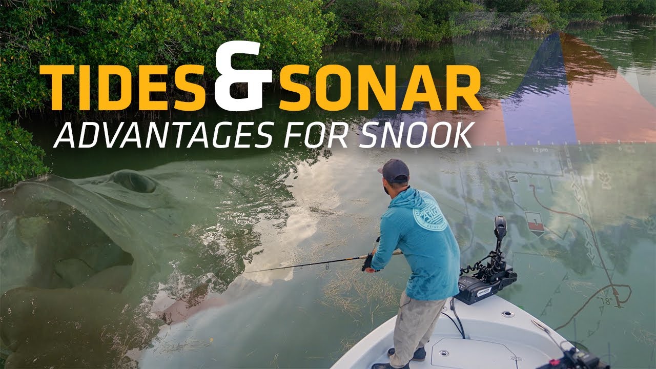 Expert Tips for Inshore Snook Fishing [Tides & Sonar]