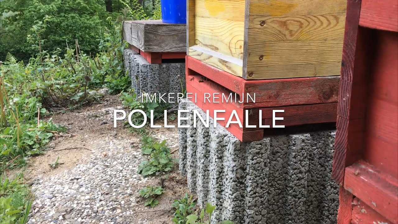 🐝 Pollenfalle