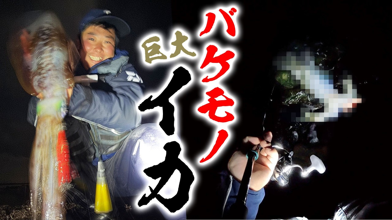自己新記録！化け物サイズの巨大イカを釣って新聞載りました【後編】