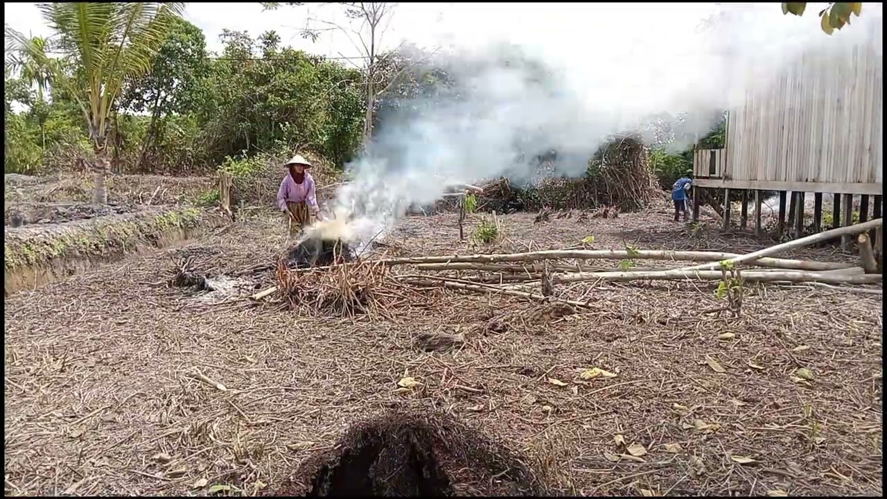 BAKAR-BAKAR DI LAHAN TETANGGA KELUARGA WANI RANTAU