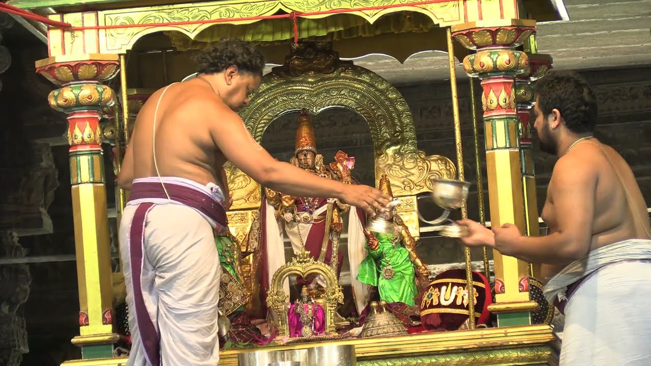 Kanchi Varadarajan - Pallava Uthsavam 2024 - Day 04 -  Part 01 (4K)_46m 30s