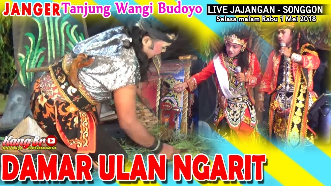 JANGER TANJUNG WANGI BUDOYO - DAMAR ULAN NGARIT, LIVE JAJANGAN