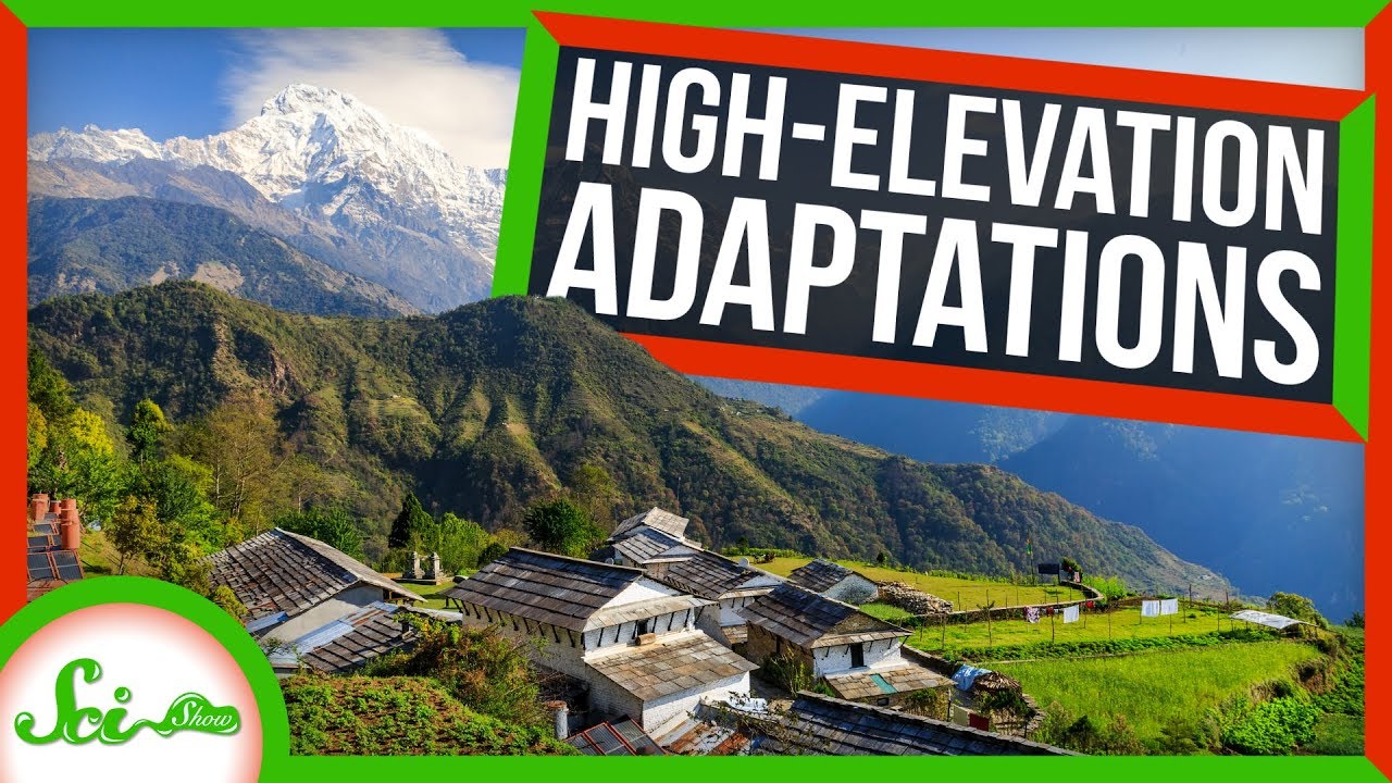How People Have Evolved to Live in the Clouds
