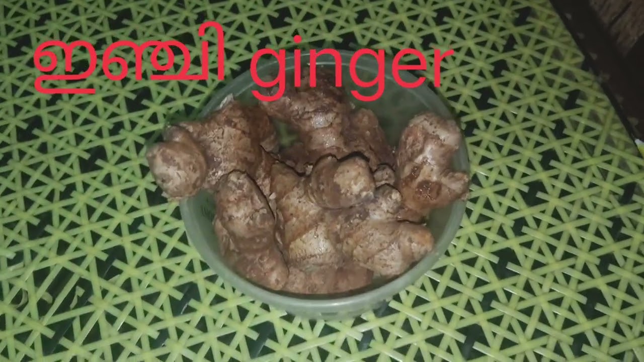 ഇഞ്ചി 