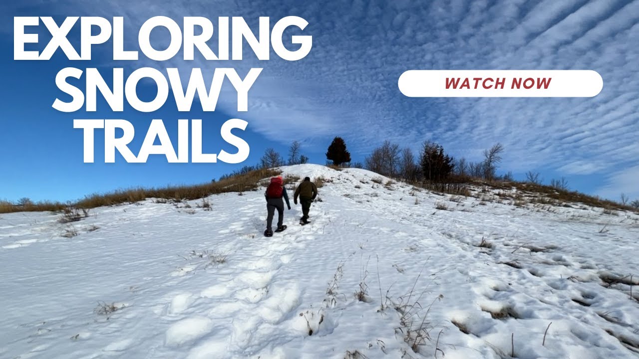 Come snowshoeing with us!
