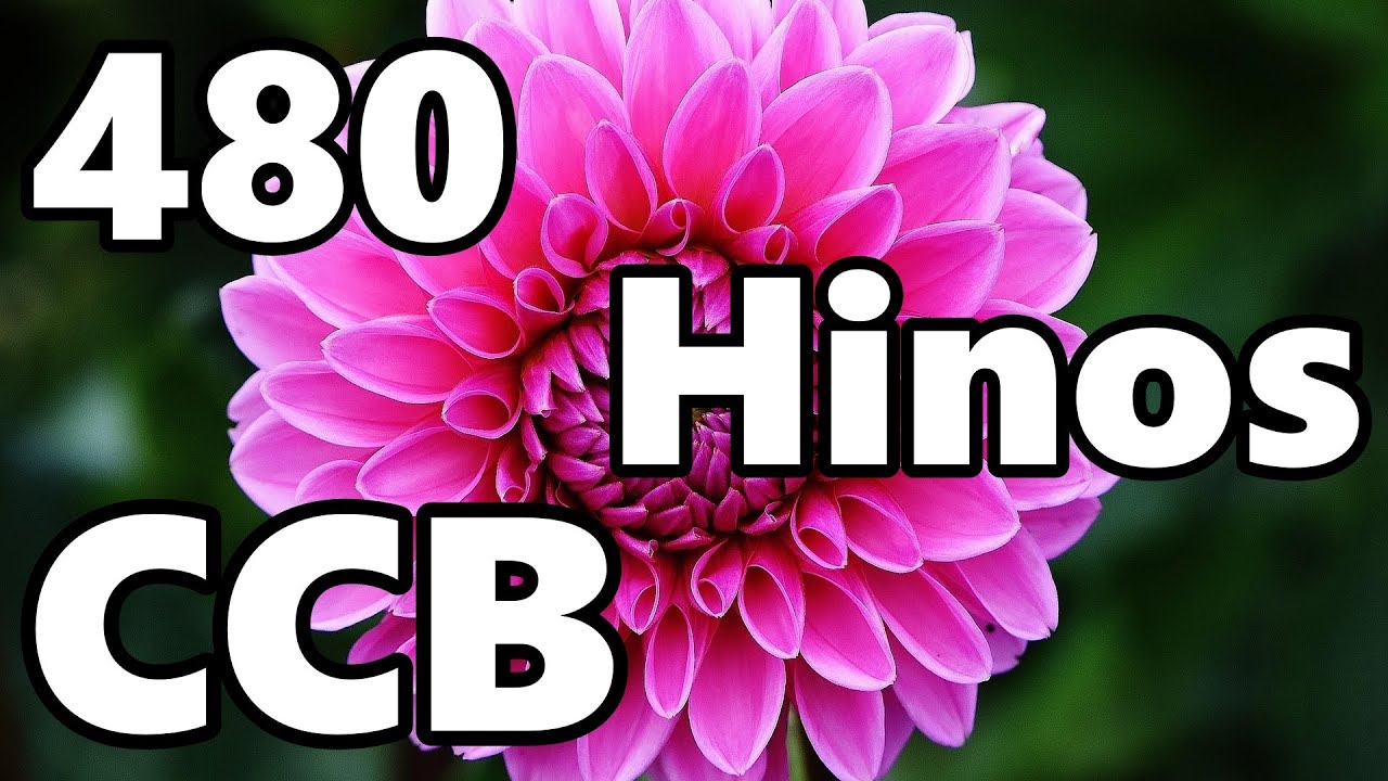 480 Hinos Cantados CCB - 55,135,360,175,480,227,211... - CCB 11/02/2026