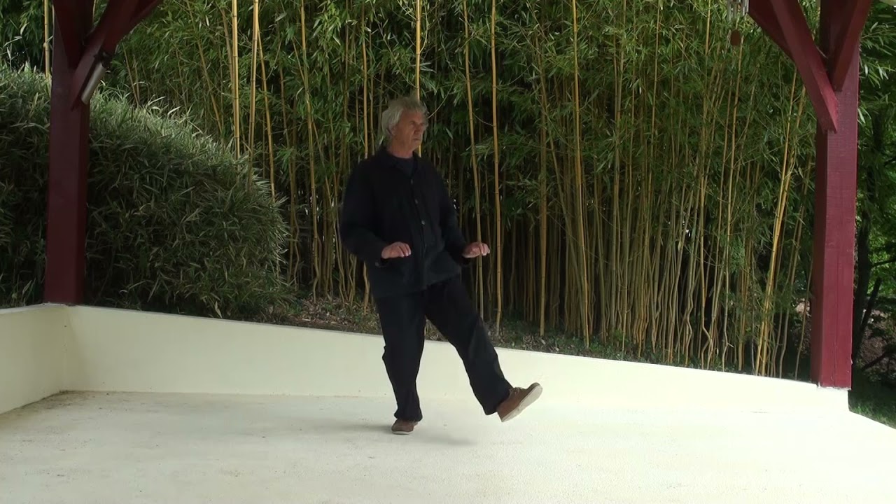 Qigong des 5 animaux Jean-Jacques  Sagot mai 2021