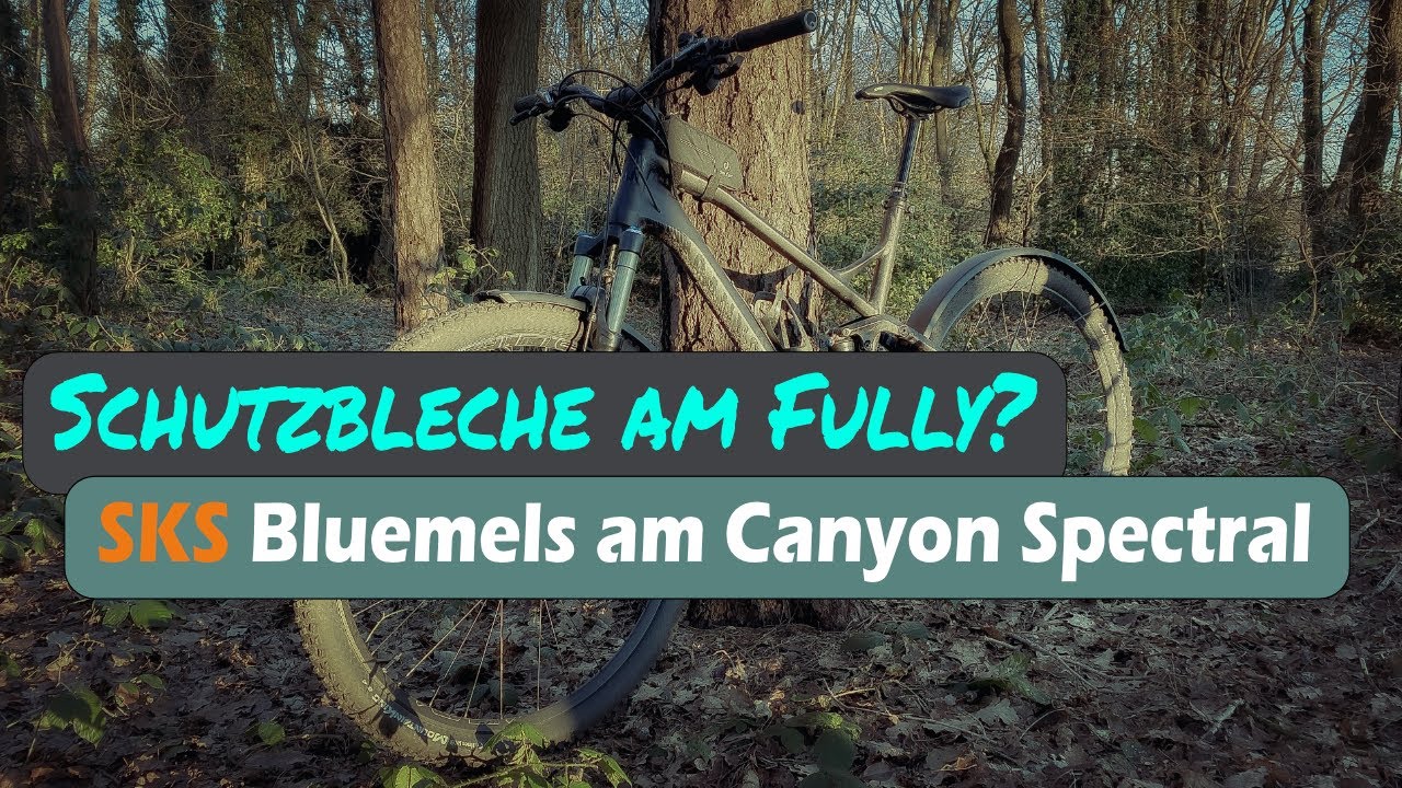 SKS Bluemels Schutzbleche am Canyon Spectral 29er Fully