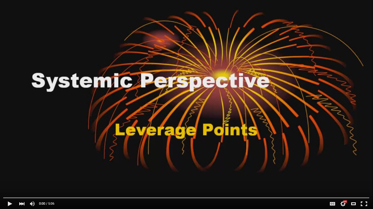 Systemic Perspective / Leverage (8 of 9)