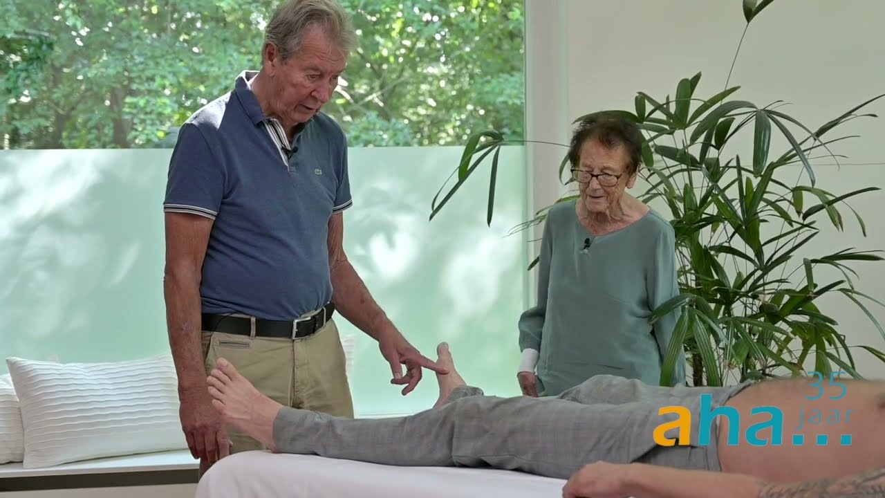 Film 2: Ted Troost aan de bank, Willem Pollmann geeft er woorden aan: 