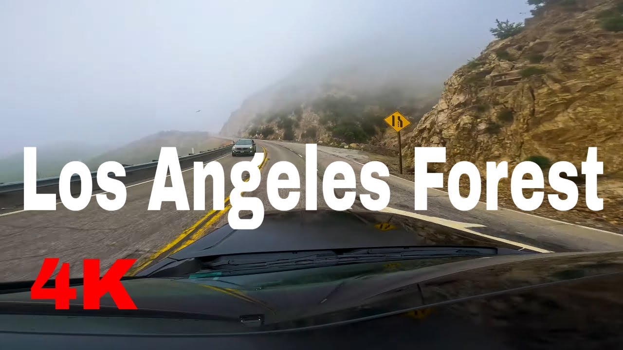 Foggy Adventures - A Serene Journey through Los Angeles National Forest