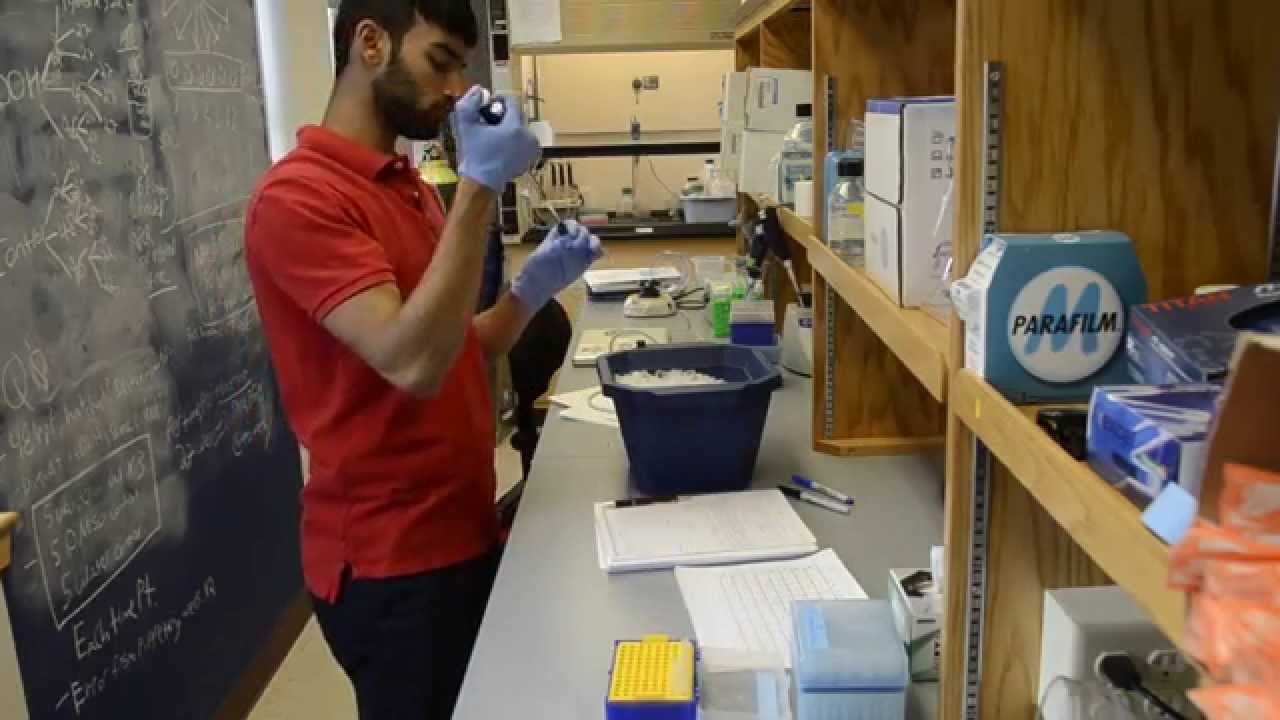 qPCR