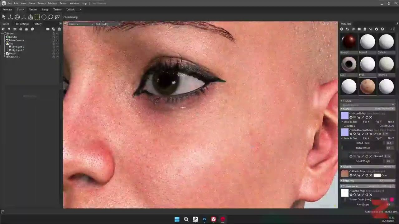 Anatomia facial