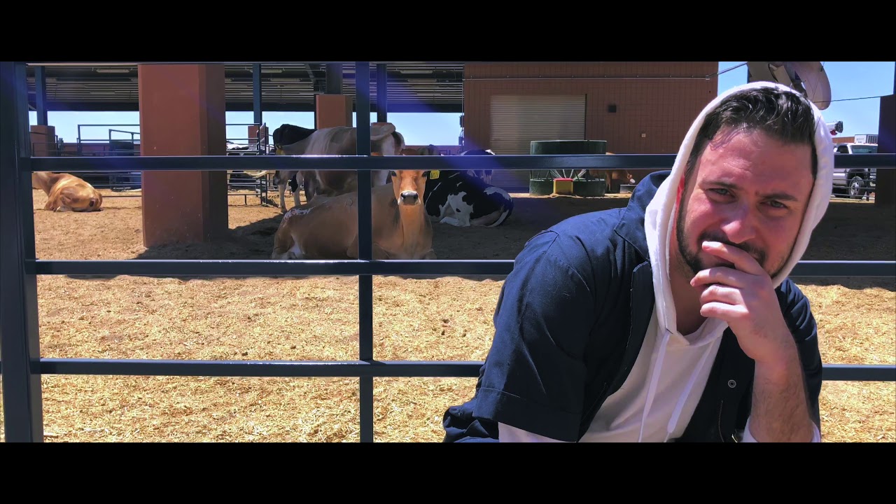 VET SCHOOL - Midwestern University Veterinary Parody
