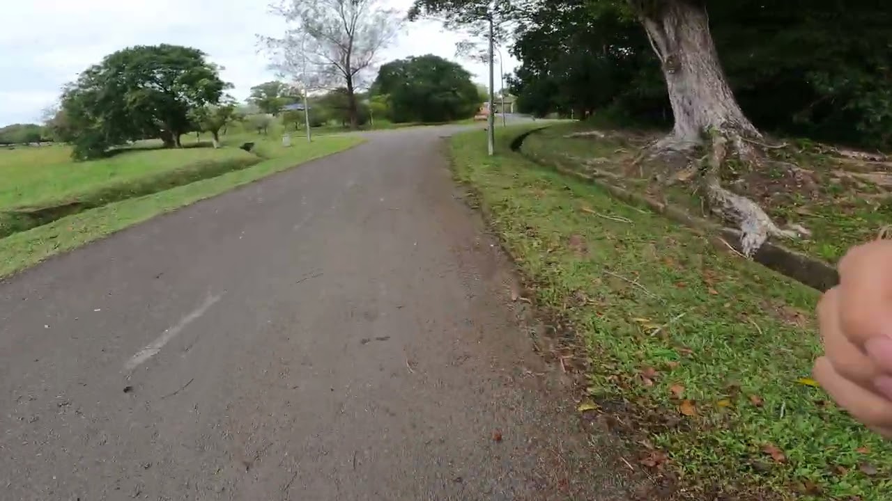 Evening Run (Part 1)